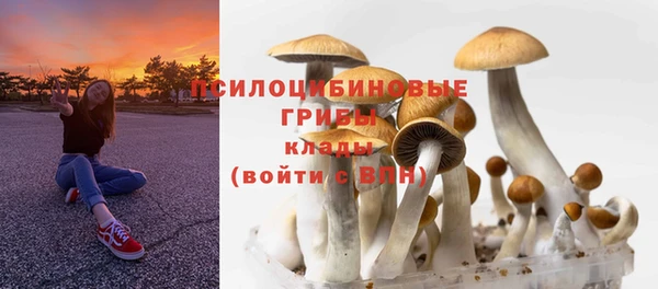 соль ск Балахна